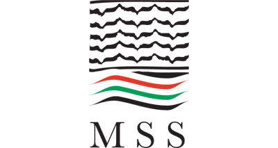 MSS 20380